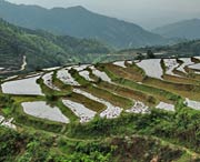 乐昌天气预报15天